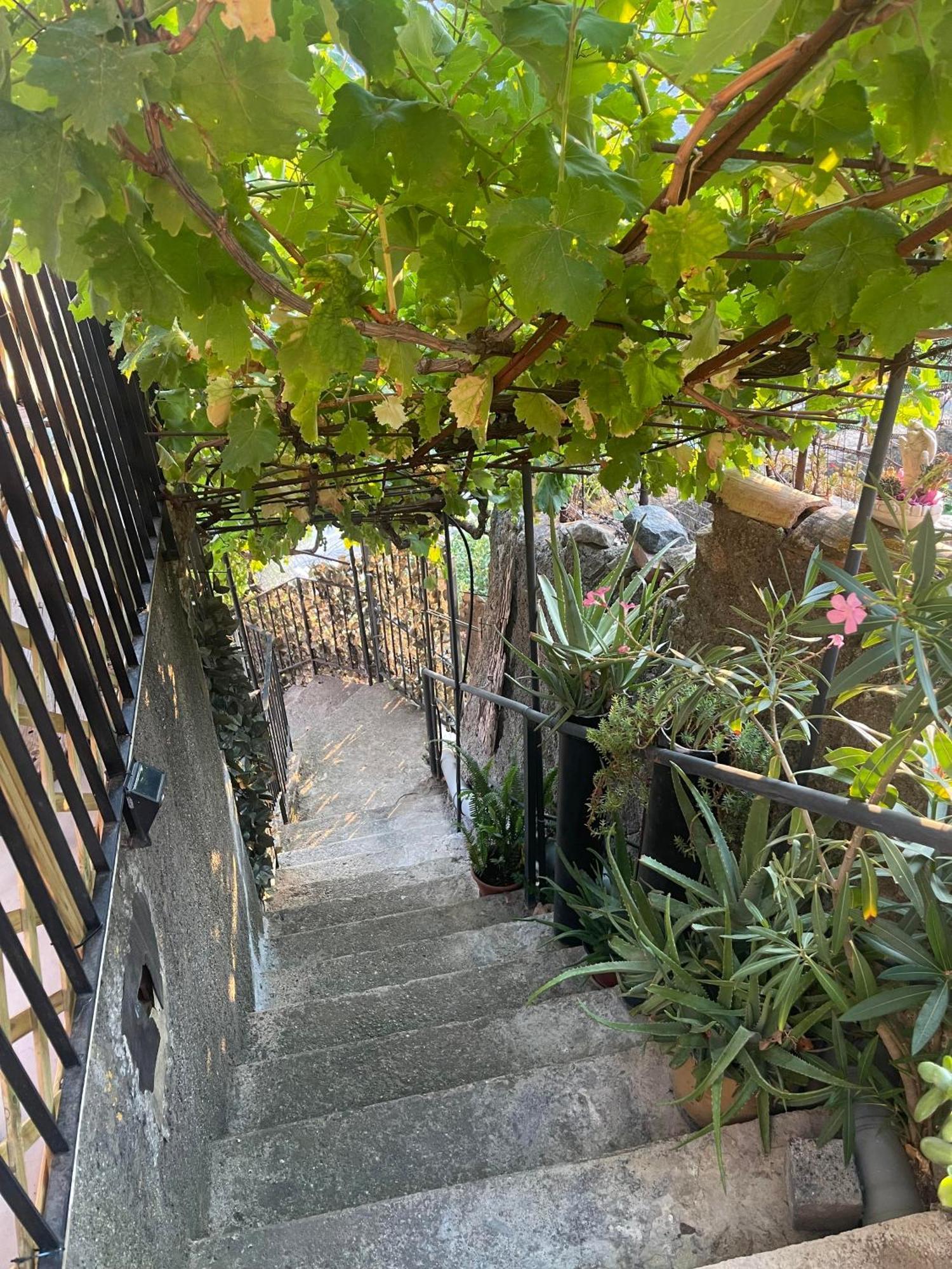 The Secret Garden Villa Forza d'Agro Exterior photo
